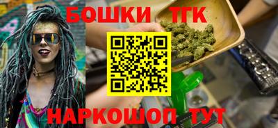 индика Можайск