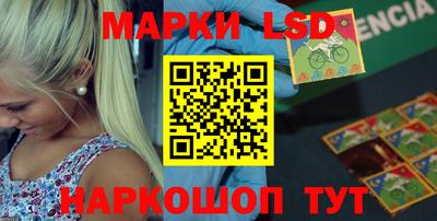 индика Можайск